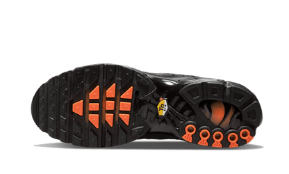 Nike Air Max Plus 3D Swoosh Black