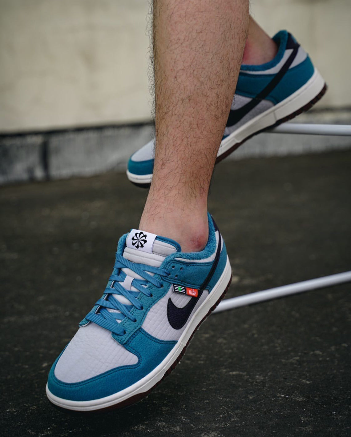 Nike Dunk Low Next Nature SE Toasty